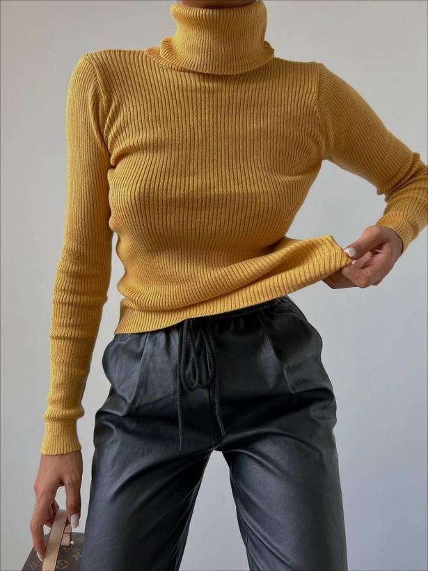 Cropped ribbed turtleneck sweater