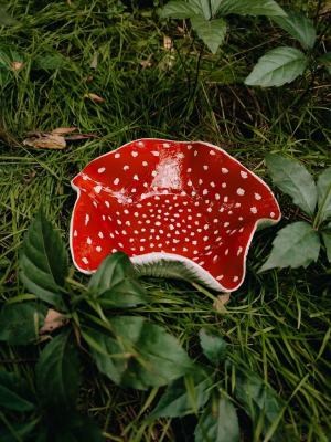 Підставка для аромапаличок гриб мухомор 