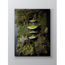Preserved moss art with green mushrooms