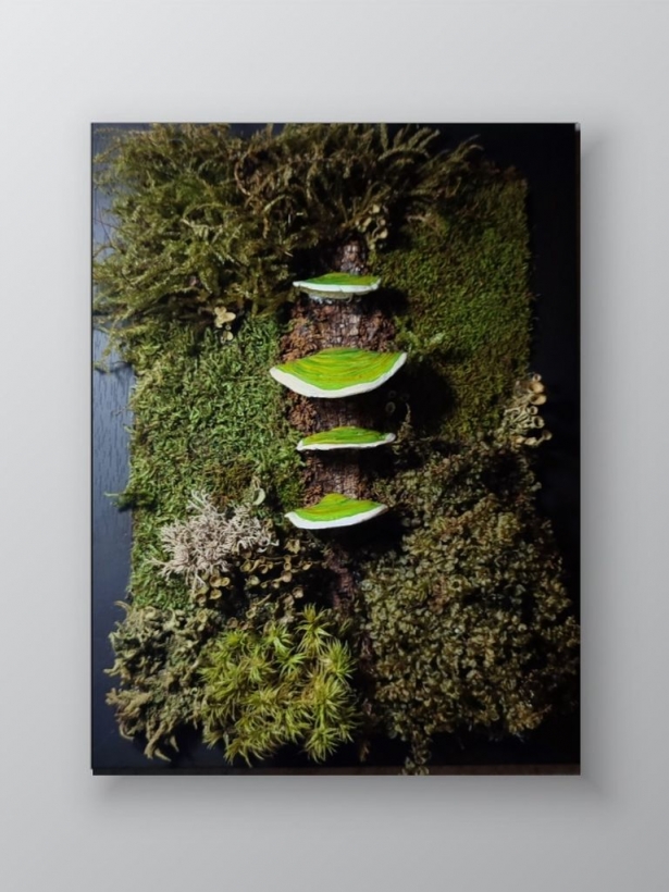 Preserved moss art with green mushrooms