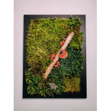 Moss painting with polypore fungi 
