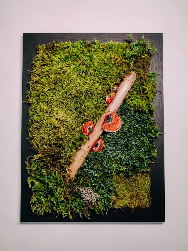 Moss painting with polypore fungi 