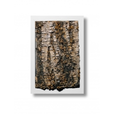 Real tree bark art in a white frame