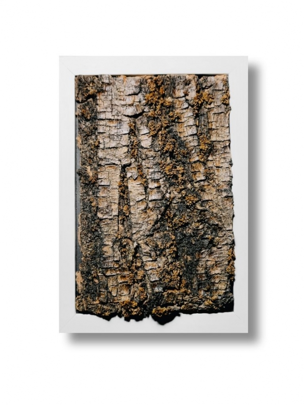 Real tree bark art in a white frame