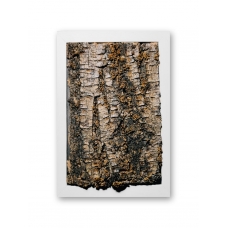 Real tree bark art in a white frame