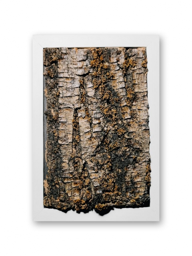 Real tree bark art in a white frame