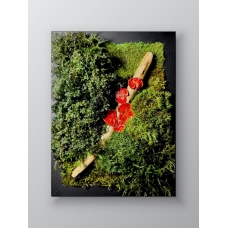Preserved moss art with red mushrooms
