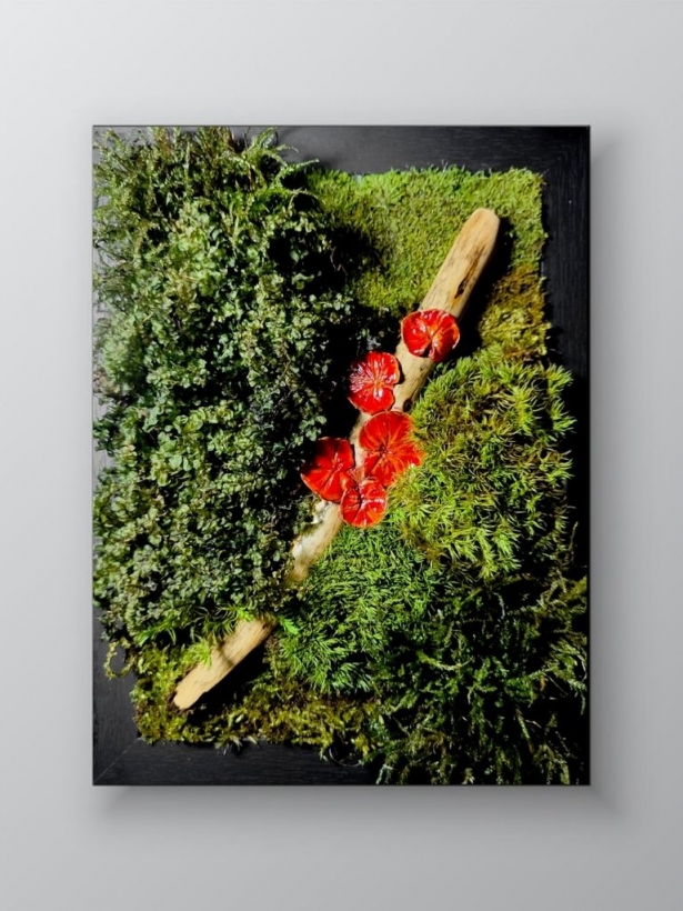 Preserved moss art with red mushrooms