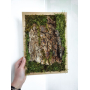 Картина з мохом та корою дерева 
