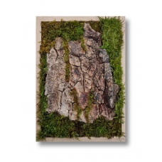 Preserved moss tree bark art