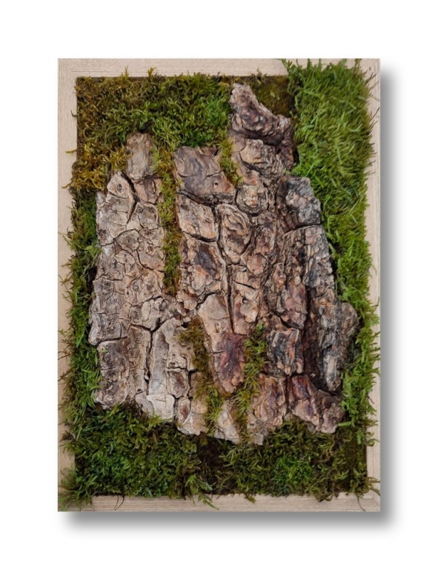 Preserved moss tree bark art