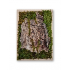 Preserved moss tree bark art