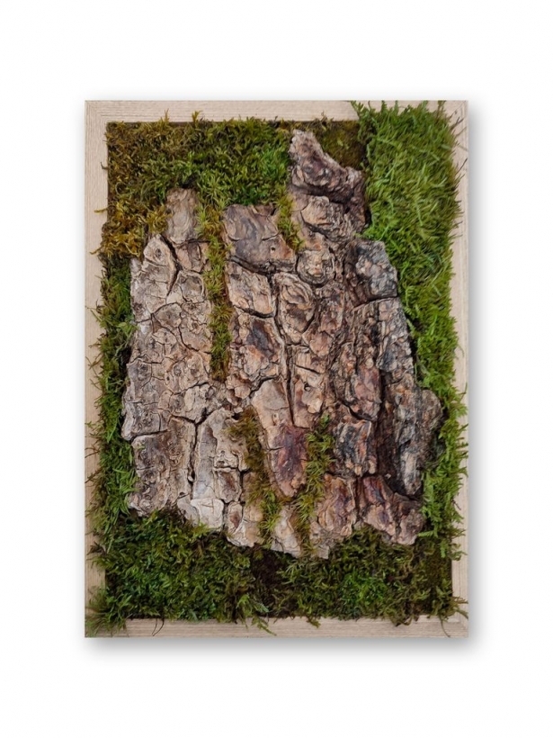 Preserved moss tree bark art