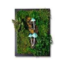 Phytopainting with stabilized moss and blue mushrooms, moss panel