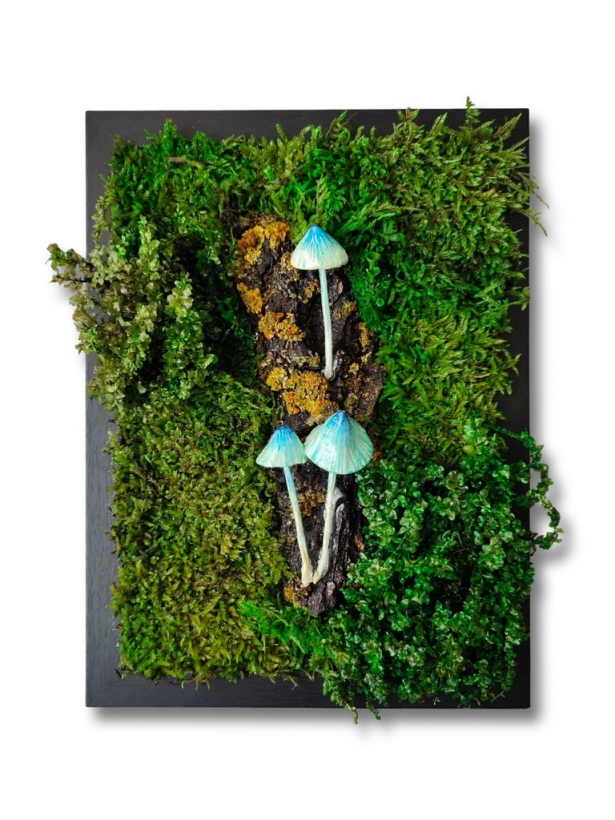 Phytopainting with stabilized moss and blue mushrooms, moss panel