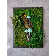 Phytopainting with stabilized moss and blue mushrooms, moss panel