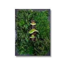 Stabilized moss green mushrooms moss panel