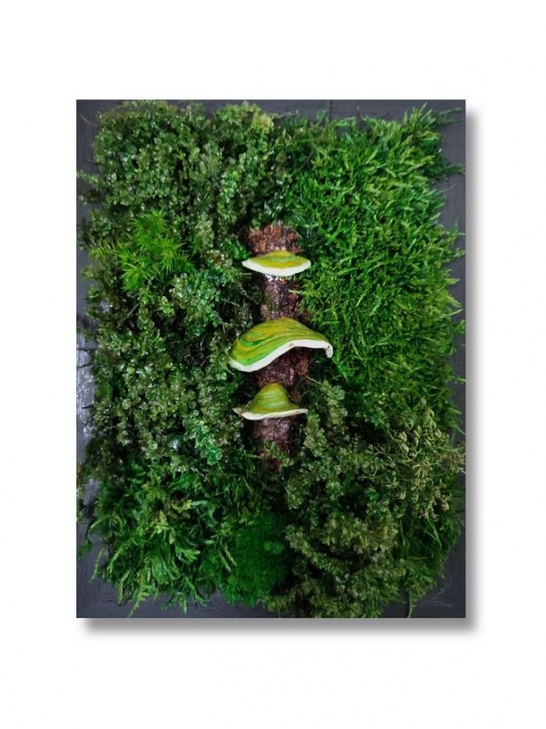 Stabilized moss green mushrooms moss panel