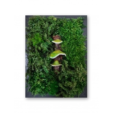 Stabilized moss green mushrooms moss panel