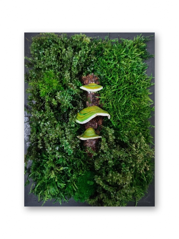 Stabilized moss green mushrooms moss panel