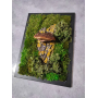 Картина з моху та гриба на корі ХРАНИТЕЛЬ ЛІСУ Картина з моху та гриба на корі ХРАНИТЕЛЬ ЛІСУ