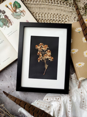 Вінтажний гербарій БІЛИЙ ЦВІТ 16х22 см