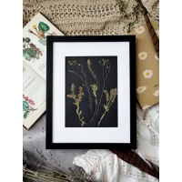 Pressed wild flowers art om black paper 24x30 cm