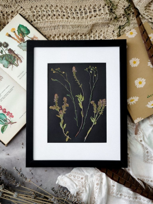 Картина з сухоцвітів ПОЛЬОВІ КВІТИ 24х30 см