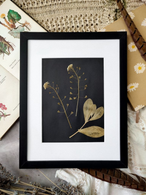 Картина з сухоцвітів ГРИЦИКИ 24х30 см