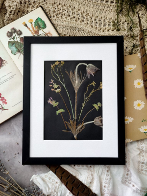 Картина з сухоцвітів СОН ТРАВА 24х30 см