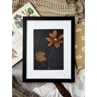 Vintage pressed Clematis flower art 24x30 cm