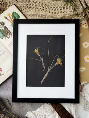 Картина з сухоцвітів ЖОВТІ КВІТИ 24х30 см 