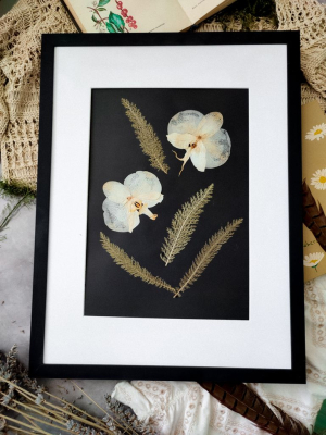 Велика настінна картина з сухоцвітів ОРХІДЕЇ 32х43 см