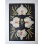 Велика настінна картина гербарій з орхідеями 32х43 см Велика настінна картина гербарій з орхідеями 32х43 см