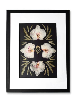 Велика настінна картина гербарій з орхідеями 32х43 см