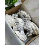 Кросівки Adidas Vento XLG White Silver 