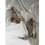 Кросівки New Balance 9060 Grey Brown