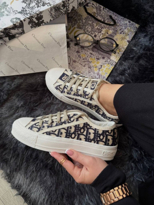 Кеди Dior B23 White Grey Premium