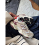 Кросівки кремові New Balance 9060 Linen Burgundy