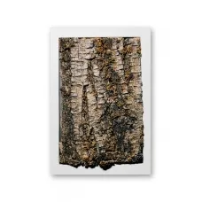 Real tree bark art in a white frame