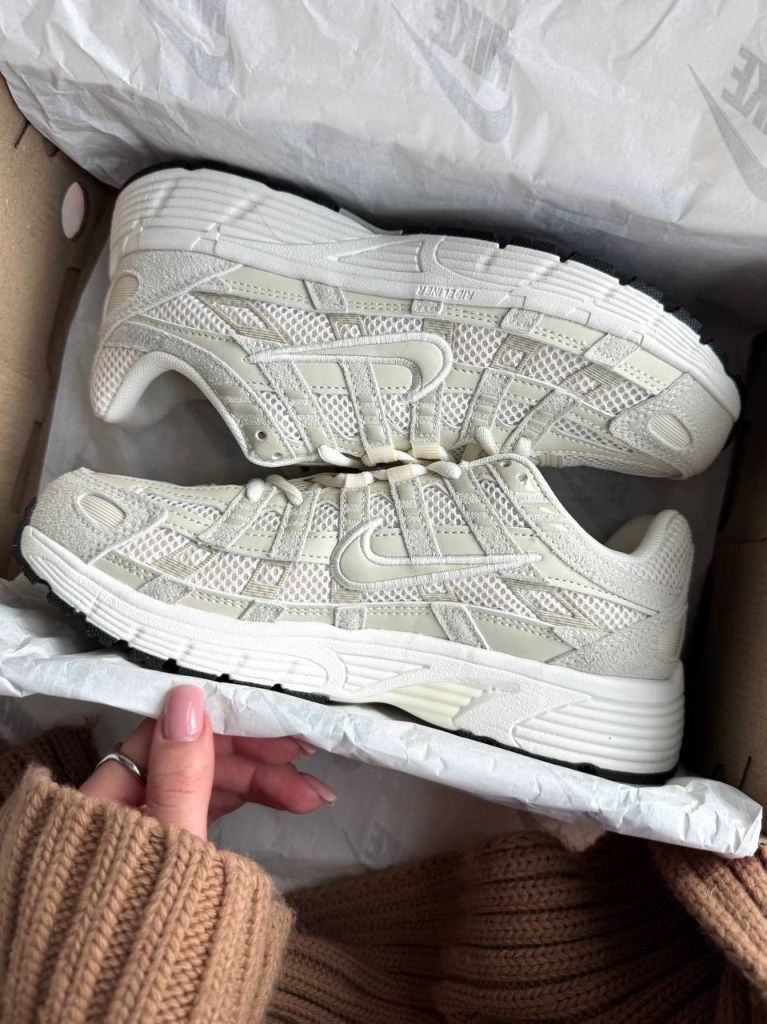 Кросівки Nike P-6000 Beige