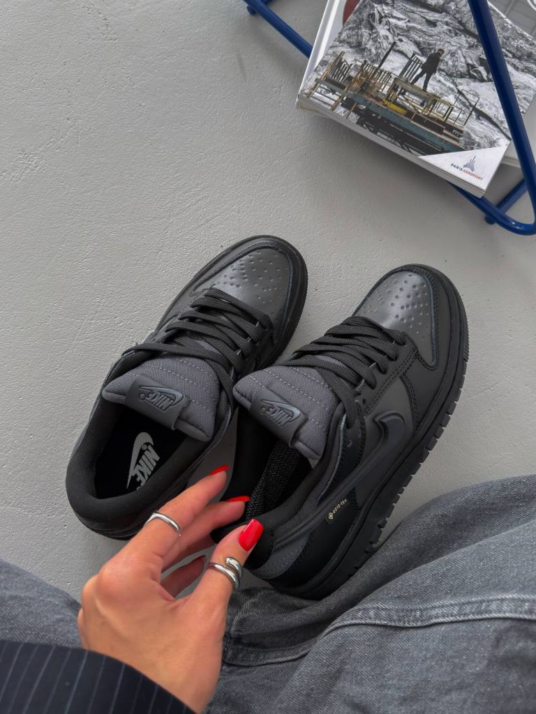 Кросівки чорні Nike Low Gore-Tex Black